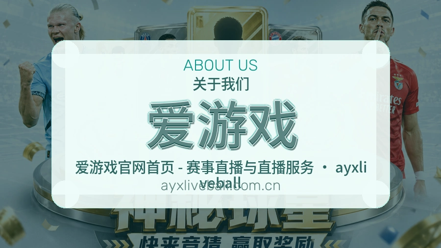 爱游戏体育赛事服务介绍